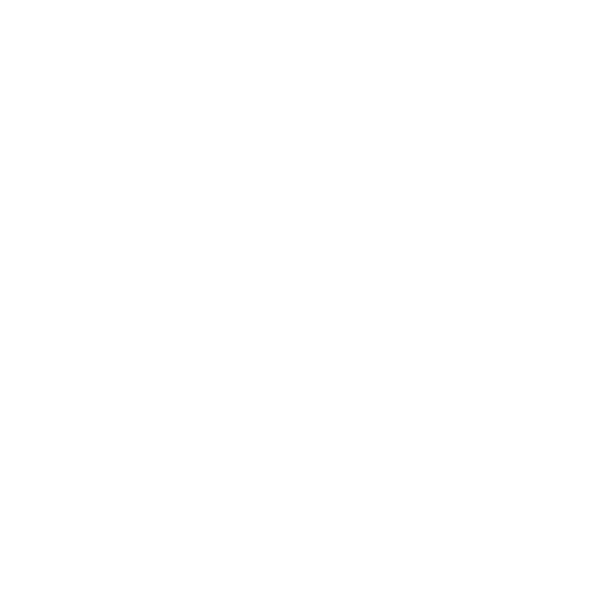 Whatsapp icon